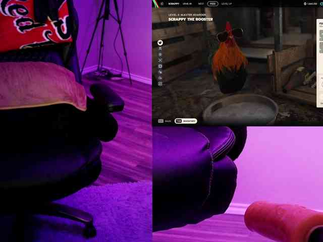 Blaze_Onn1 webcam