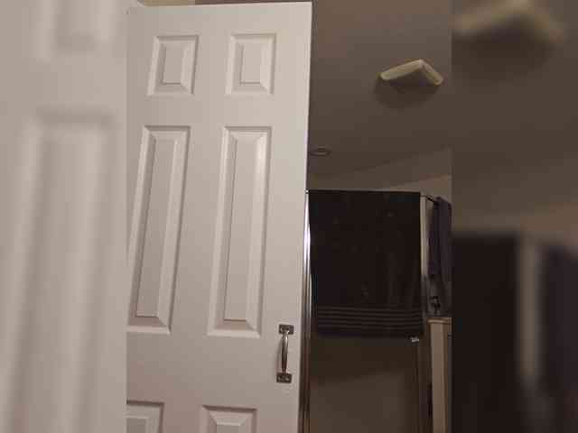 Blaze_Onn1 webcam