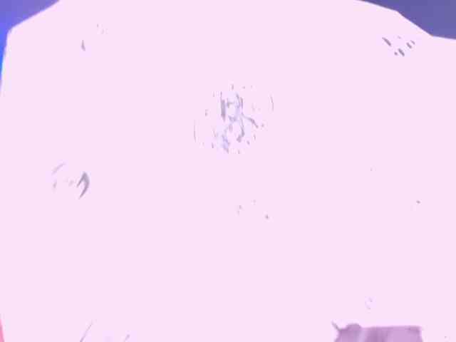-michel-bbw webcam