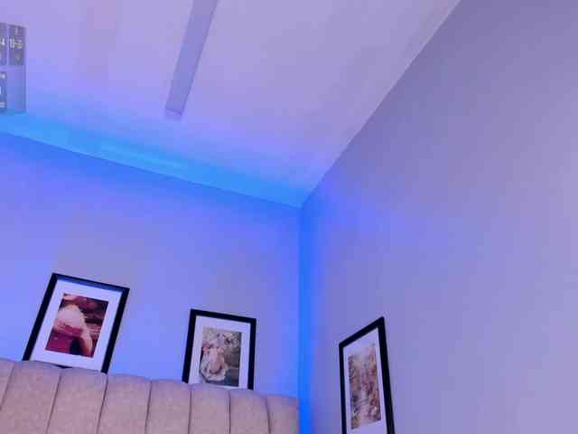 -michel-bbw webcam