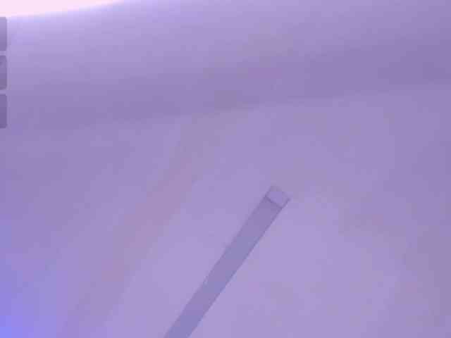 -michel-bbw webcam