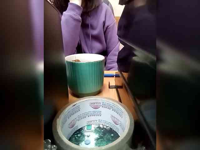 Molii-Molii35 webcam