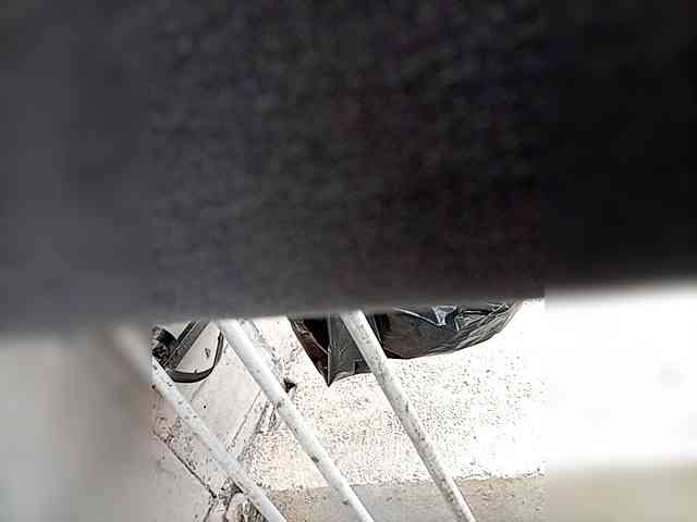 Molii-Molii35 webcam