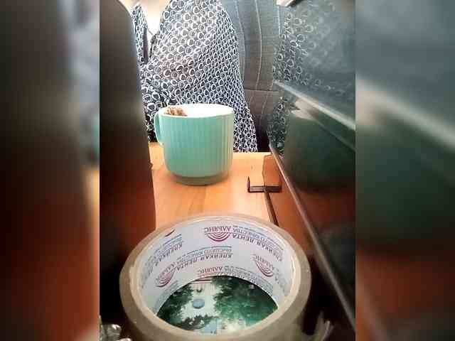 Molii-Molii35 webcam