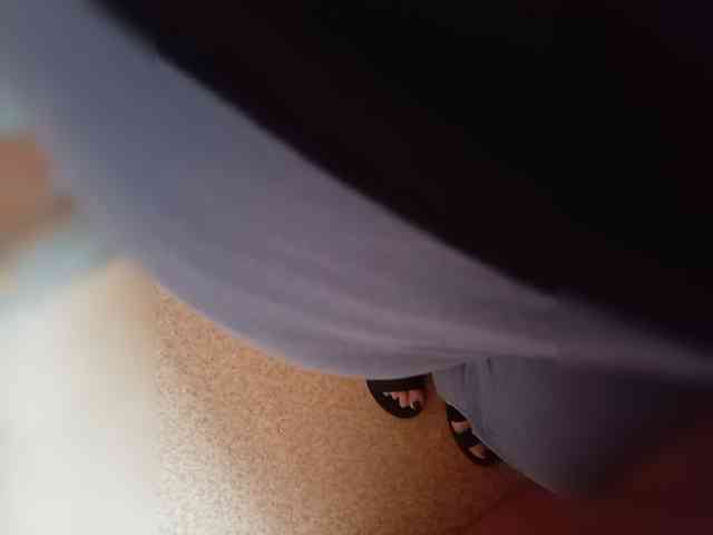 Molii-Molii35 webcam