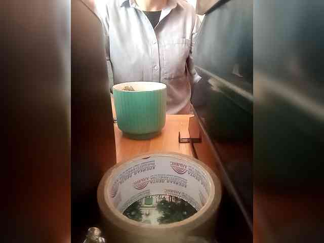 Molii-Molii35 webcam