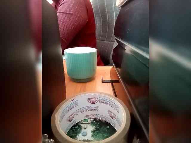 Molii-Molii35 webcam