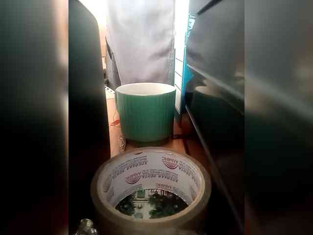 Molii-Molii35 webcam