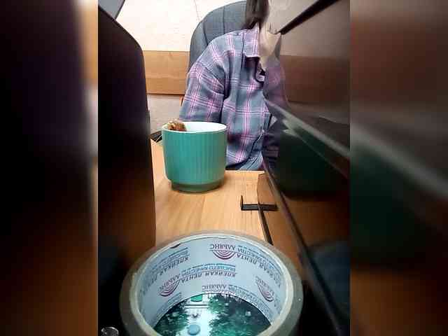 Molii-Molii35 webcam