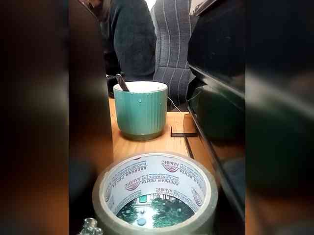 Molii-Molii35 webcam