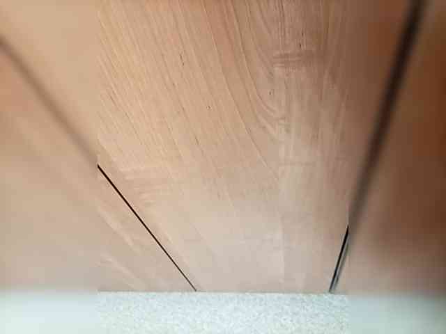 Molii-Molii35 webcam