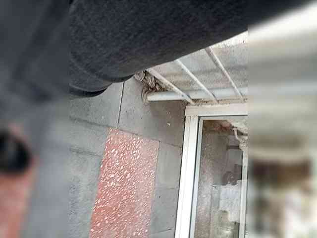 Molii-Molii35 webcam