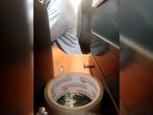 Molii-Molii35 webcam