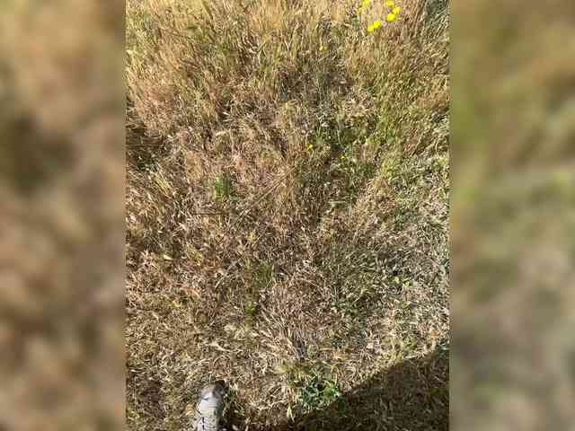 Ikmikmikm Live Webcam on BongaCams