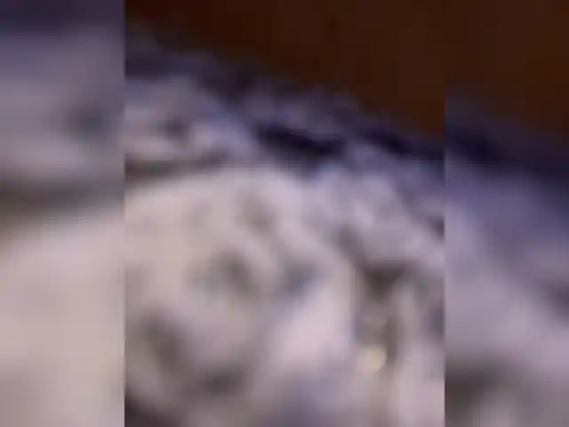 Lustygasm