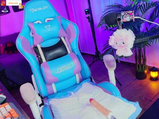 Nixycrow11 live cam on BongaCams