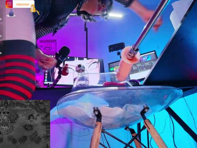 Nixycrow11