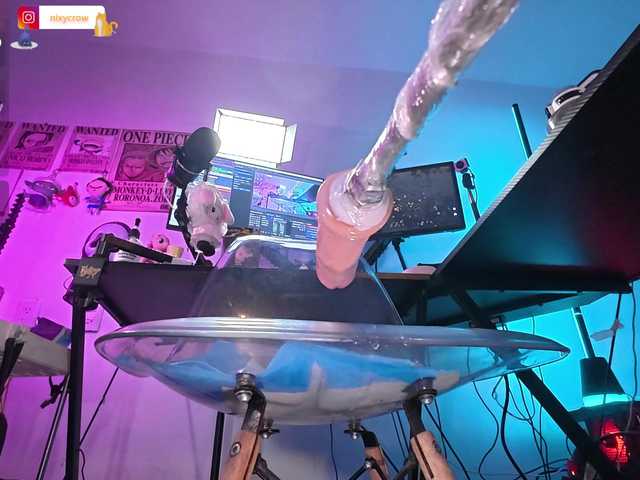 Nixycrow11