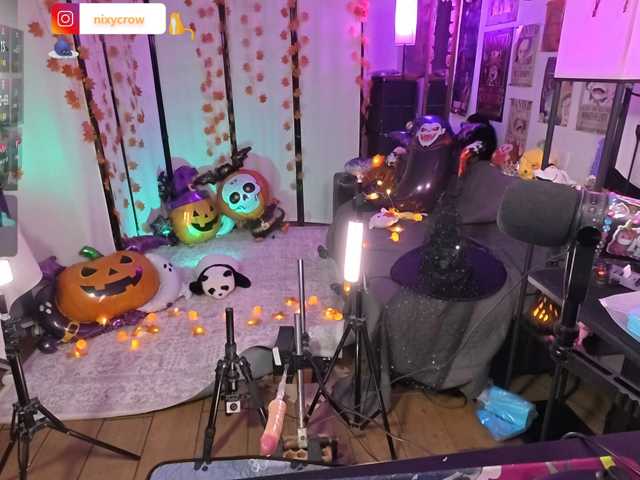 Nixycrow11 live cam on BongaCams
