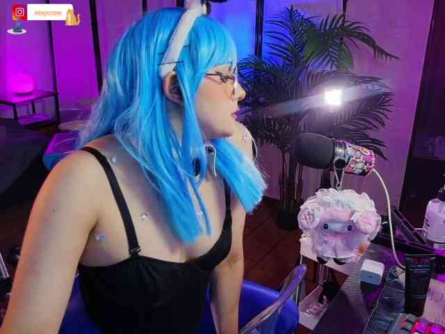 Nixycrow11 webcam