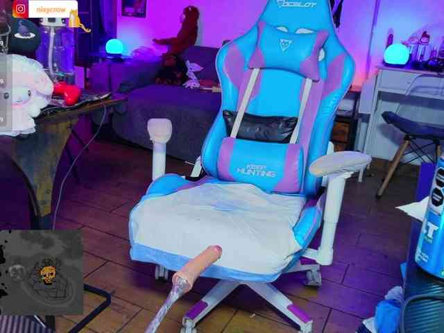 Nixycrow11 webcam