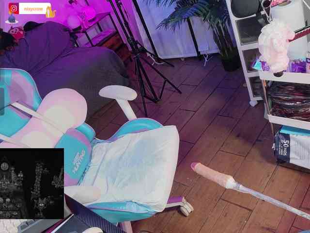 Nixycrow11 webcam