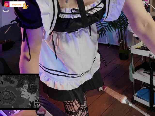 Nixycrow11 webcam