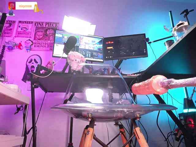 Nixycrow11 webcam