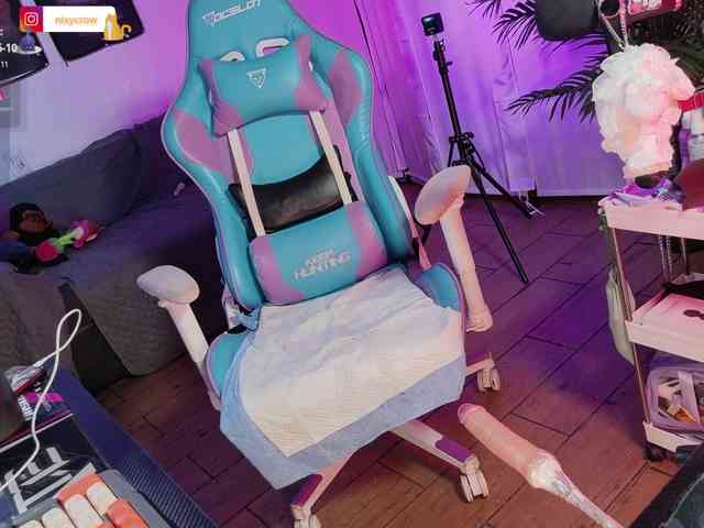 Nixycrow11 webcam