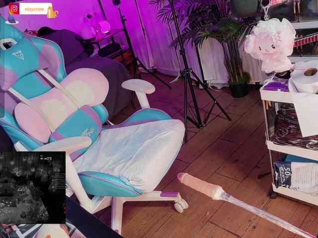 Nixycrow11 webcam