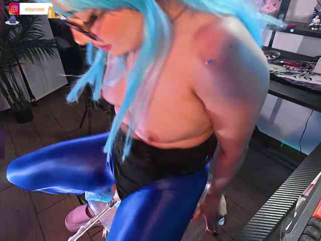 Nixycrow11 webcam