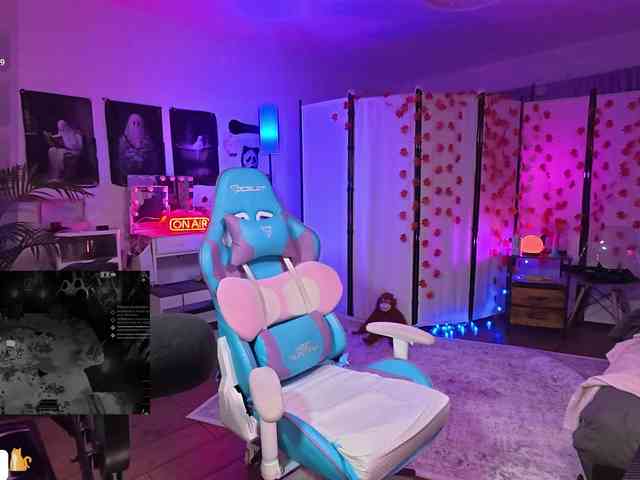 Nixycrow11 webcam