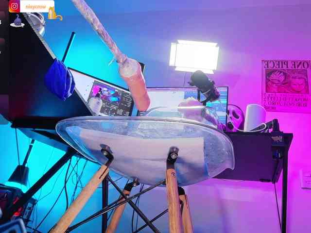 Nixycrow11