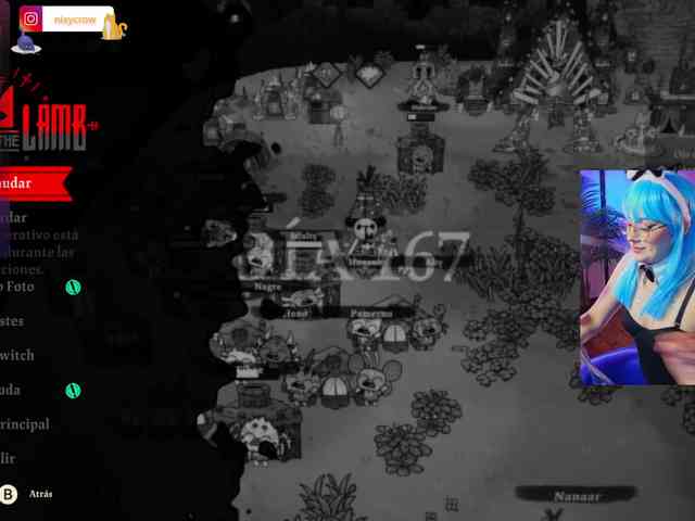 Nixycrow11 webcam