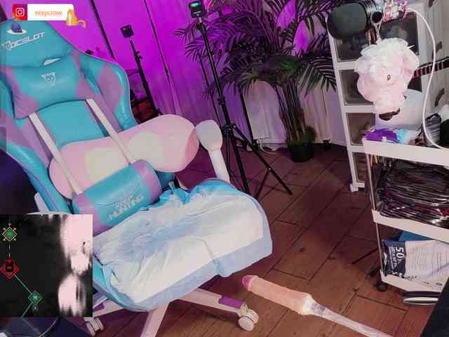 Nixycrow11 webcam