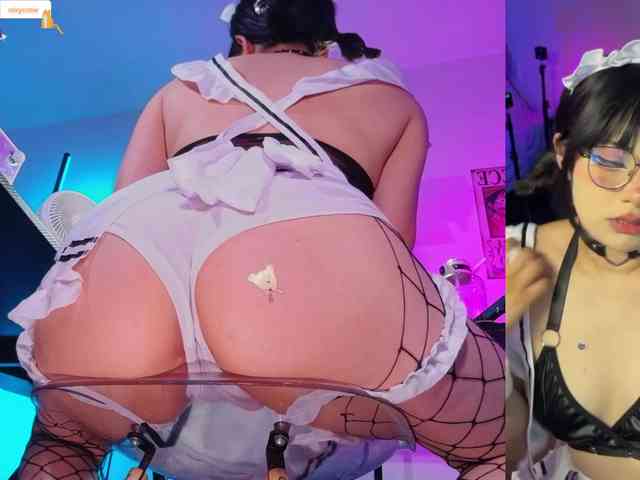 Modelo: Nixycrow11