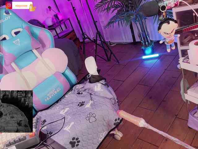 Nixycrow11 webcam