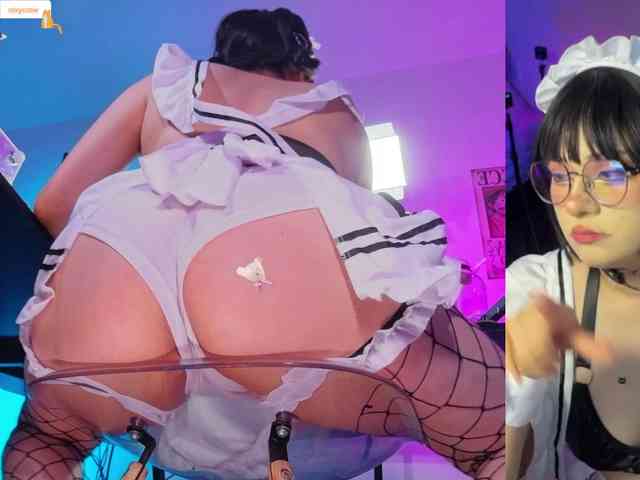 Modelo: Nixycrow11