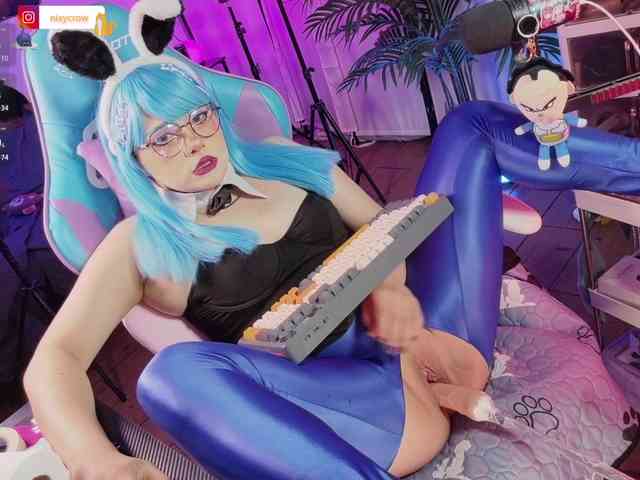 Nixycrow11 webcam