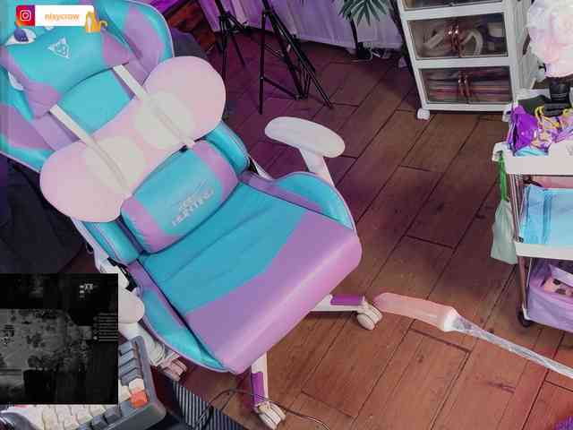 Nixycrow11 webcam