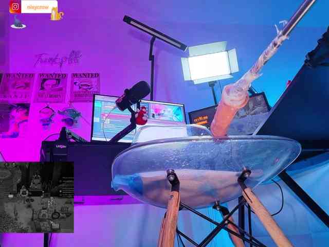 Nixycrow11