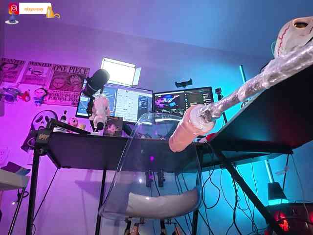 Nixycrow11 webcam