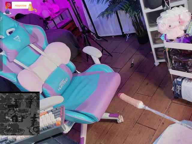 Nixycrow11 webcam
