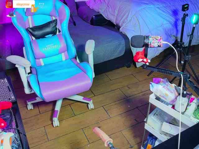 Nixycrow11