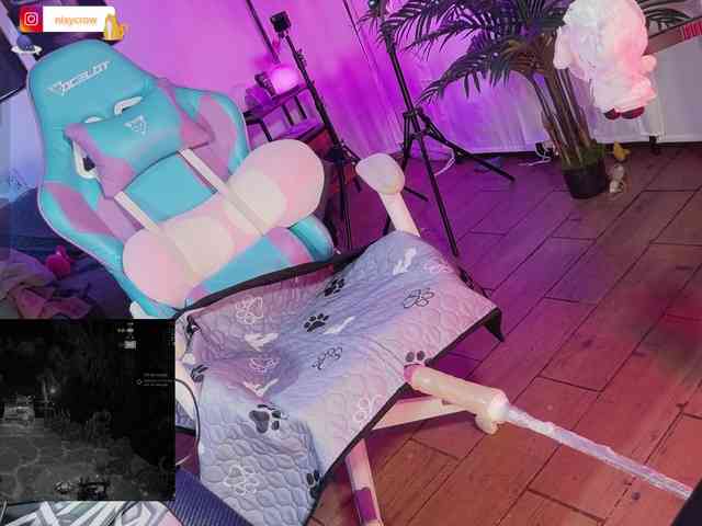 Nixycrow11 webcam