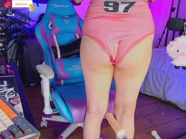 Nixycrow11 webcam