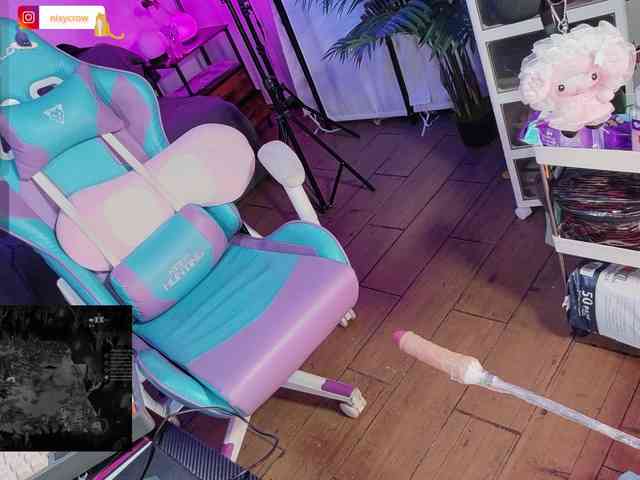 Nixycrow11 webcam