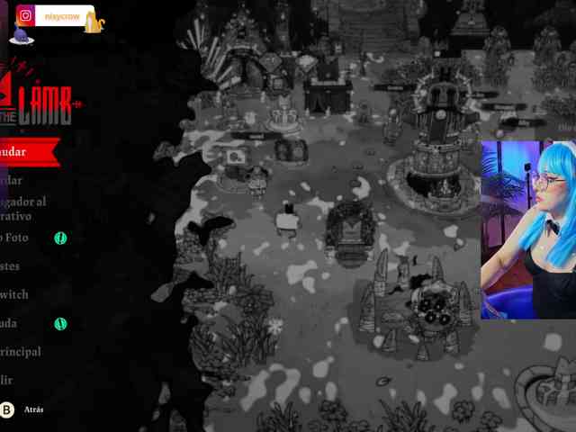 Nixycrow11 webcam