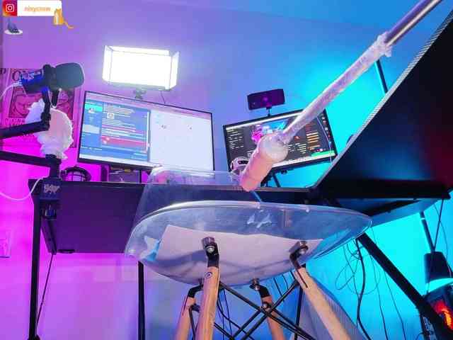Nixycrow11 webcam