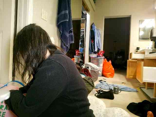 pleasantdinosaurus7537